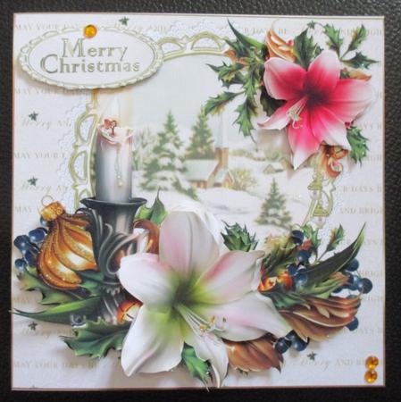 8x8 Festive Amaryllis Candle Cluster Mini Kit by Davina Rundle