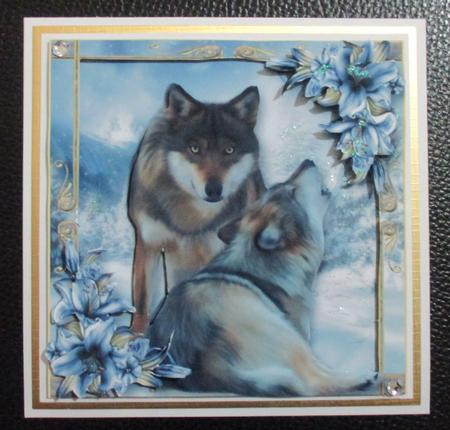 The Winter Wolves by Davina Rundle