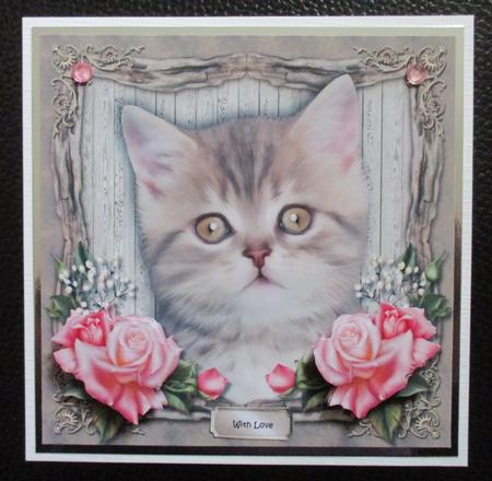 Cute Kitten 1 by Davina Rundle