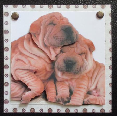 Furry Friends & Familiars - Puppies - Shar Pei Insert & Tag by Davina Rundle