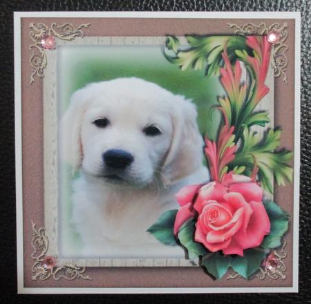 Puppy Love 1 by Davina Rundle