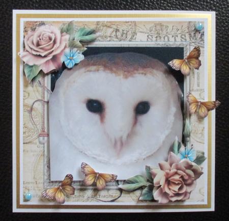 Beautiful Barn Owl 8x8 Mini Kit by Davina Rundle