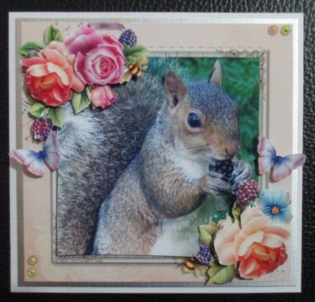 Beautiful Squirrel 8x8 Mini Kit by Davina Rundle