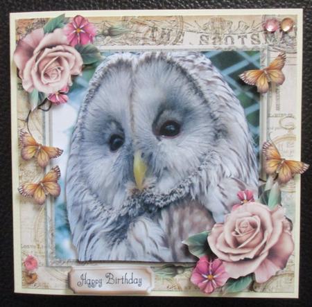 Beautiful Brown Owl 8x8 Mini Kit by Davina Rundle