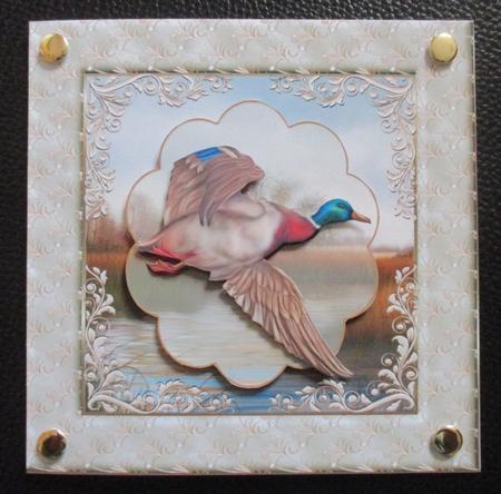 Mallard in Flight 7x7 Card with Decoupage by Davina Rundle