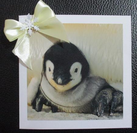 Because We Love Furries - Penguin 3D + Insert & Tag by Davina Rundle