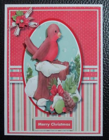 Christmas Robin from Thicket Forest  by Davina Rundle