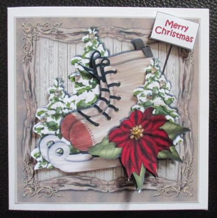 Winterfun Ice Skates by Davina Rundle