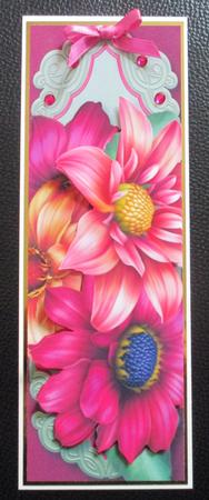 Beautiful Dahlia Blooms Large Dl by Davina Rundle