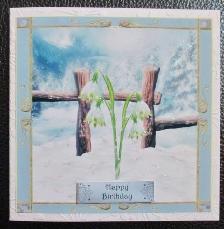 The First Flower of Spring by Davina Rundle