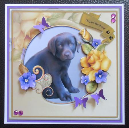 Chocolate Labrador & Yellow Roses by Davina Rundle