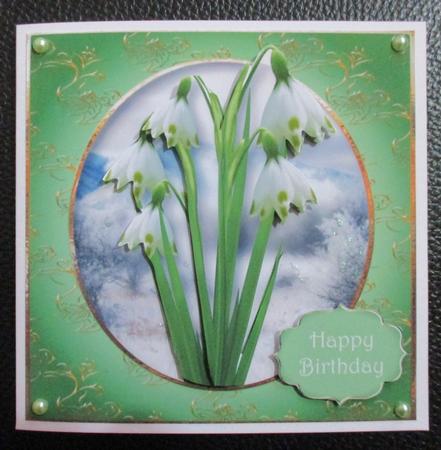 The Snowdrops by Davina Rundle