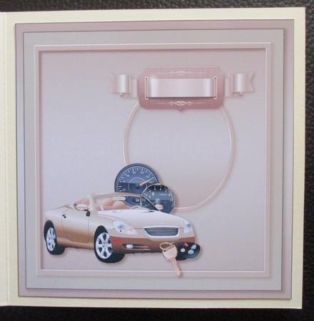 Gold Sports Car with Speedo Matching 8inx8in Insert Plate by Davina Rundle
