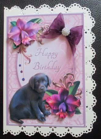 Labrador Pup & Orchids Mini Kit by Davina Rundle