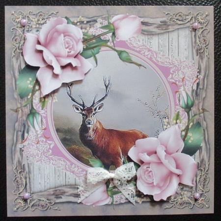 Deer and Roses by Davina Rundle