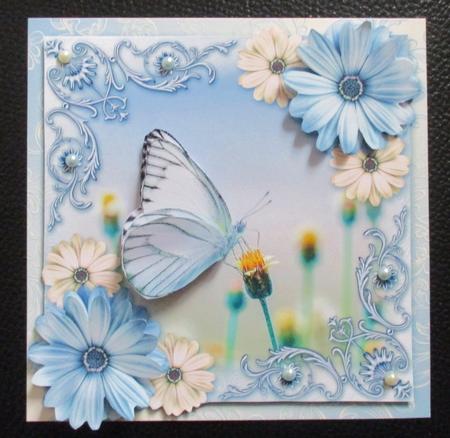 Butterfly Meadow by Davina Rundle