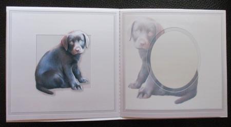Chocolate Labrador Puppy Matching 6in x 6in Insert by Davina Rundle