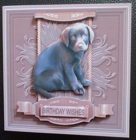 Chocolate Labrador Puppy on a Taupe Doily 6in x 6in Decoupag by Davina Rundle
