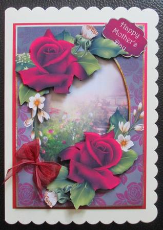 Deep Pink Velvet Roses by Davina Rundle