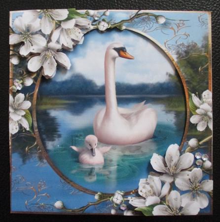 Mother & Baby Swan by Davina Rundle