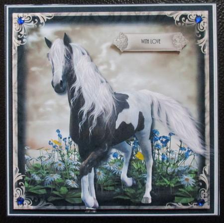 Serendipity Card Front Kit by Davina Rundle