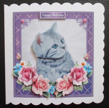 Grey Kitten with Summer Roses 8x8 Mini Kit by Davina Rundle