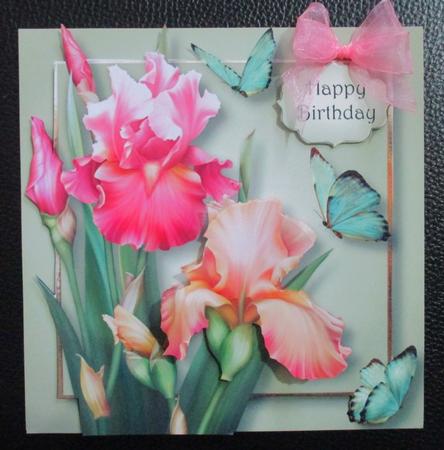 Blush Iris & Butterflies by Davina Rundle