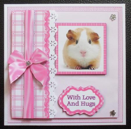 Pink Gingham Guinea Pig - 7 x 7 Card Topper With Decoupage by Davina Rundle