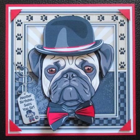 Another Birthday - Suits You Sir! by Davina Rundle