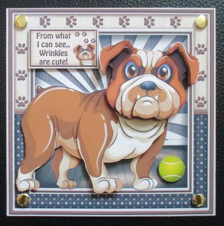Who Said Wrinkles Are Cute - Let Me at Them by Davina Rundle