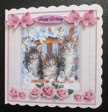 Three of a Kind Birthday by Davina Rundle