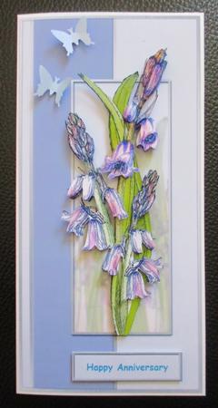 Bluebells in Blue by Davina Rundle