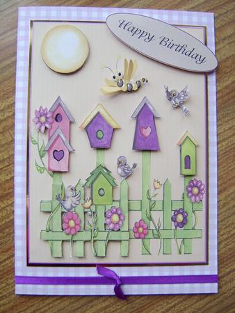 Birds in My Garden in Apricot by Davina Rundle