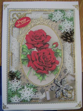 Christmas Roses Snow A4 Picture Sheet by Davina Rundle