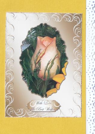 Beautiful Rose Best Wishes/ Thank You Card Fronts by Dawn Cole