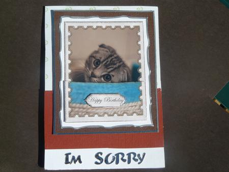 Adorable Kitten in Stamp Frame by Dawn Cole
