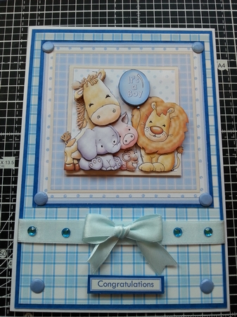 Animal Crew Baby Boy or Birthday Mini Kit with Ages by Dawn Cook