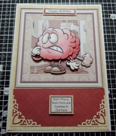 Brain Farts 7.5 Decoupage Mini Kit Various Occasions by Dawn Cook