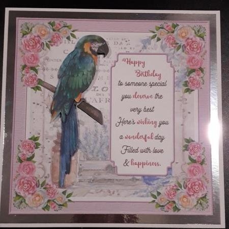 Exotic Bird Decoupage Mini Kit 1 by Dawn Heath