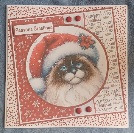 Kitty Christmas #3 Mini Kit 7x7 by Dawn Heath