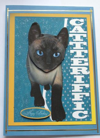 Catteriffic by Dawn Jones