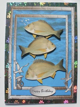 Fish of the Sea by Dawn Jones