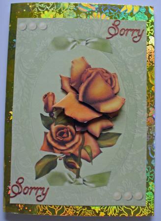 Roses to Apologise by Dawn Jones