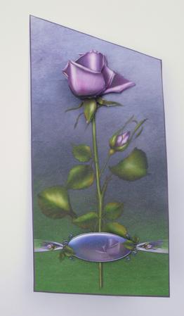 Lavender Rose by Dawn Jones