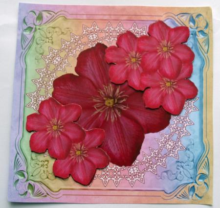 Burgundy and Pink Clematis Delight for Any Occasion by Dawn Jones