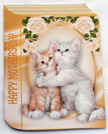 Cute Kittens Cuddling for Mothers Day Folded Book by Dawn Jones