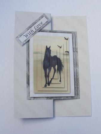 Black Horse on the Beach by Dawn Jones