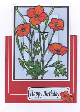 Poppies Over the Edge by Dawn Jones