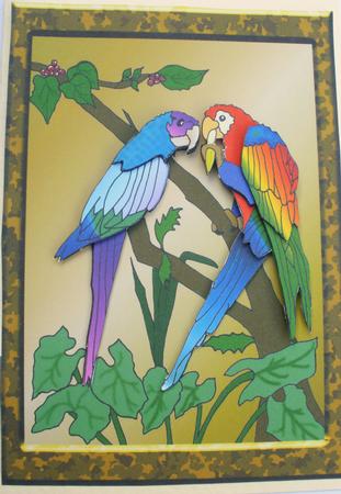 Parrots by Dawn Jones