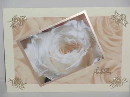 White Rose by Dawn Mellor